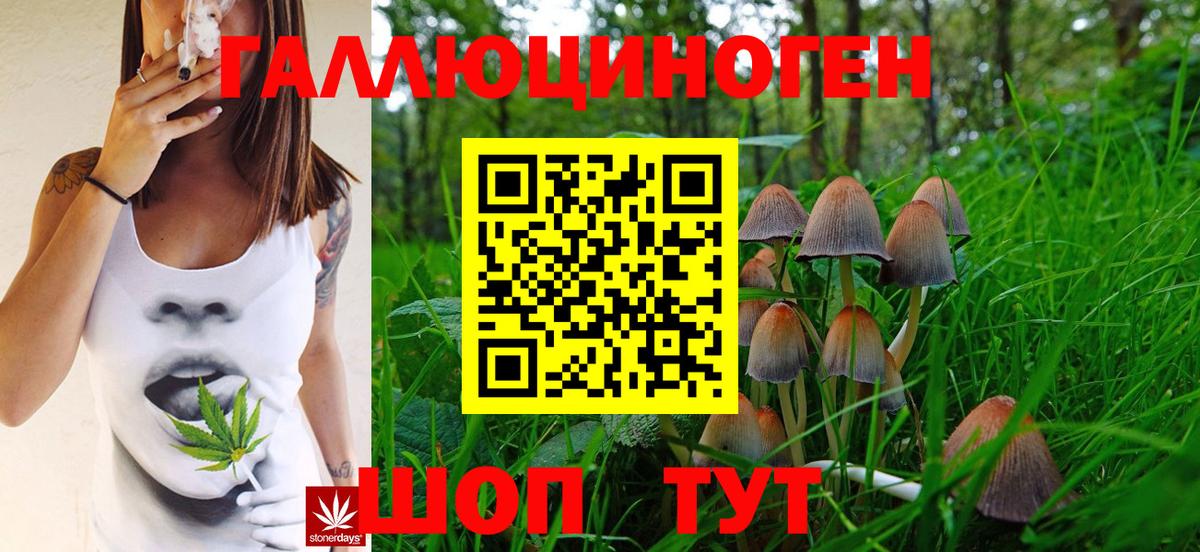 Камышлов  Галлюциногенные грибы мухоморы  Вход с VPN 